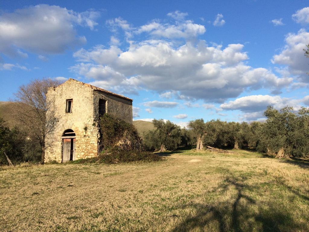 Villa La Tartaruga Sabina Palombara Sabina Exteriér fotografie